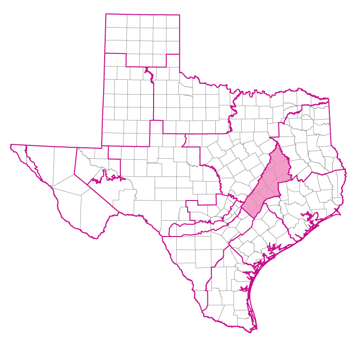 Map of Texas groundwater management areas with GMA 12 highlighted in pink in Central Texas.
